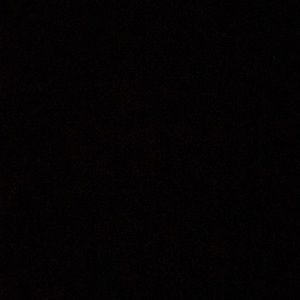 Meet your Posher, Bryce